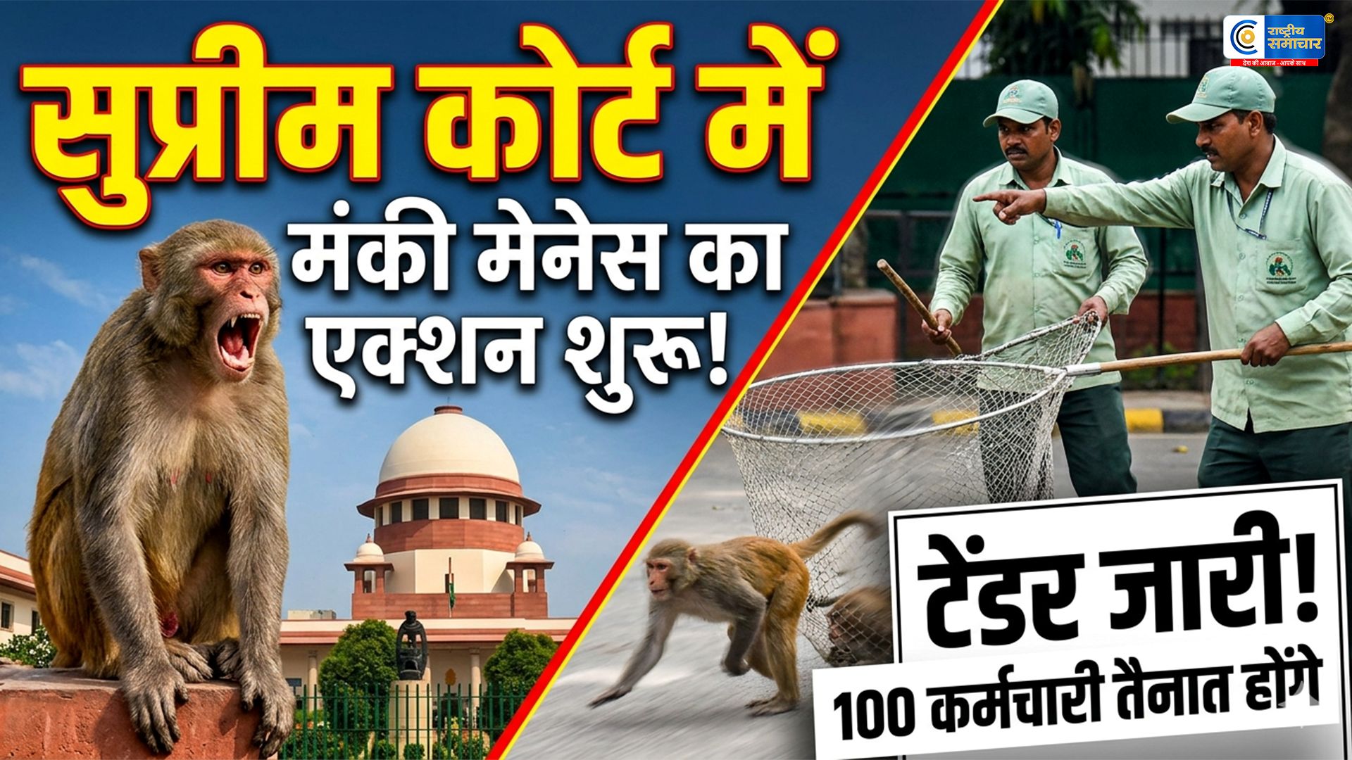 सुप्रीम कोर्ट ने बंदरों से जंग छेड़ी: 100 प्रशिक्षित कर्मियों के साथ कोर्ट परिसर के बंगले होंगे सुरक्षित बंदर भगाने वालों के लिए टेंडर जारी किया