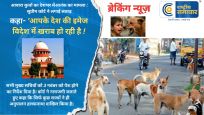 आवारा कुत्तों का देशभर में आतंक का मामला : सुप्रीम कोर्ट ने लगाई लताड़ कहा- 'आपके देश की इमेज विदेश में खराब हो रही है ! 