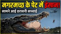 Crocodile के पेट से मिला इंसान का शव! साउथ अफ्रीका में 15 फीट के मगरमच्छ ने उगला खौफनाक सच 