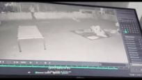 सूरत में दर्दनाक हादसा : 13 साल की किशोरी ने चौथी मंजिल से लगाई छलांग, CCTV में कैद हुआ पूरा मंजर 