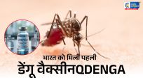 भारतको मिली पहली डेंगू वैक्सीन QDENGA, 4 से 60 साल के लोगों के लिए DCGI की मंजूरी