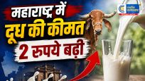 महाराष्ट्र मेंदूध हुआ महंगा, 11 अगस्त से 2 रुपये बढ़ेंगे दाम,गाय का दूध ₹62 और भैंस का दूध ₹78 प्रति लीटर मिलेगा